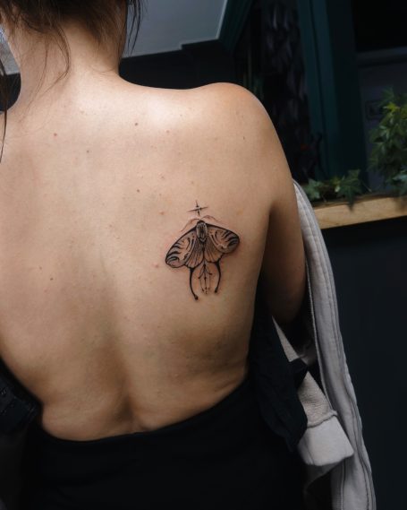 "Wings beneath the Stars"