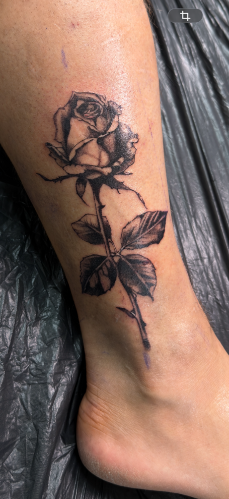 "Classic Rose"