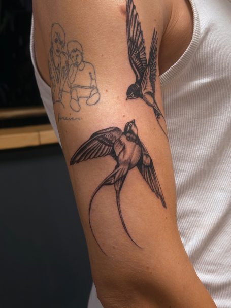 "Swallows"